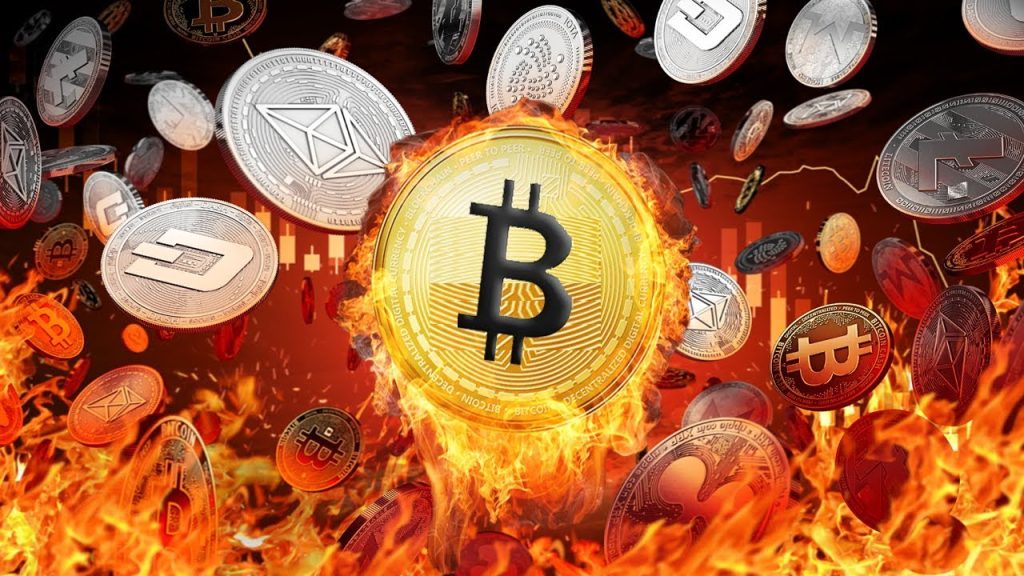 We Bought Bitcoin Every Day for a Year… The Results Shocked Us